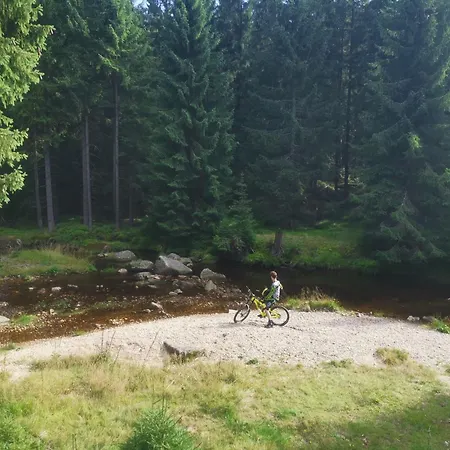 Pod Jaworami Apartman *