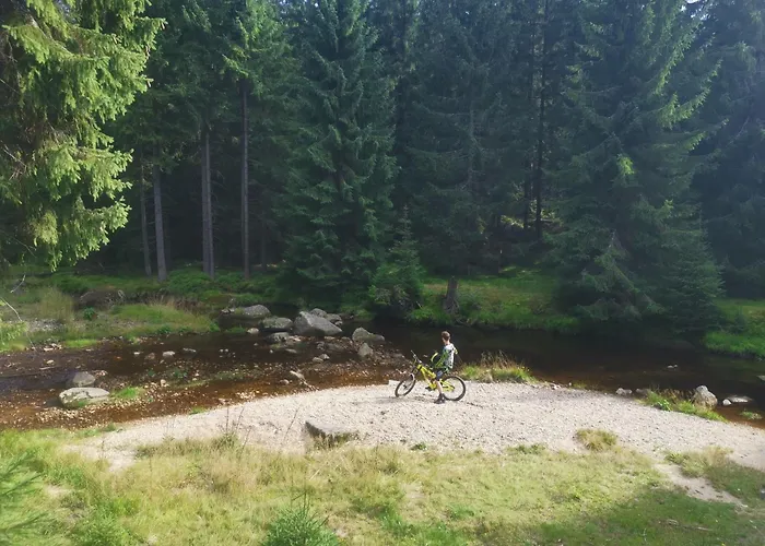 Pod Jaworami Apartment *